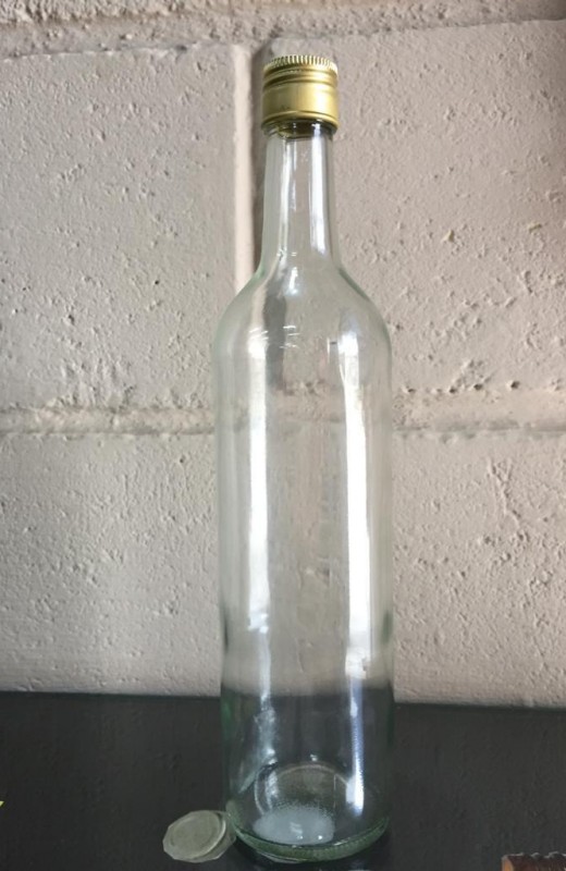 Detalhes do produto Garrafa Friz 750ml